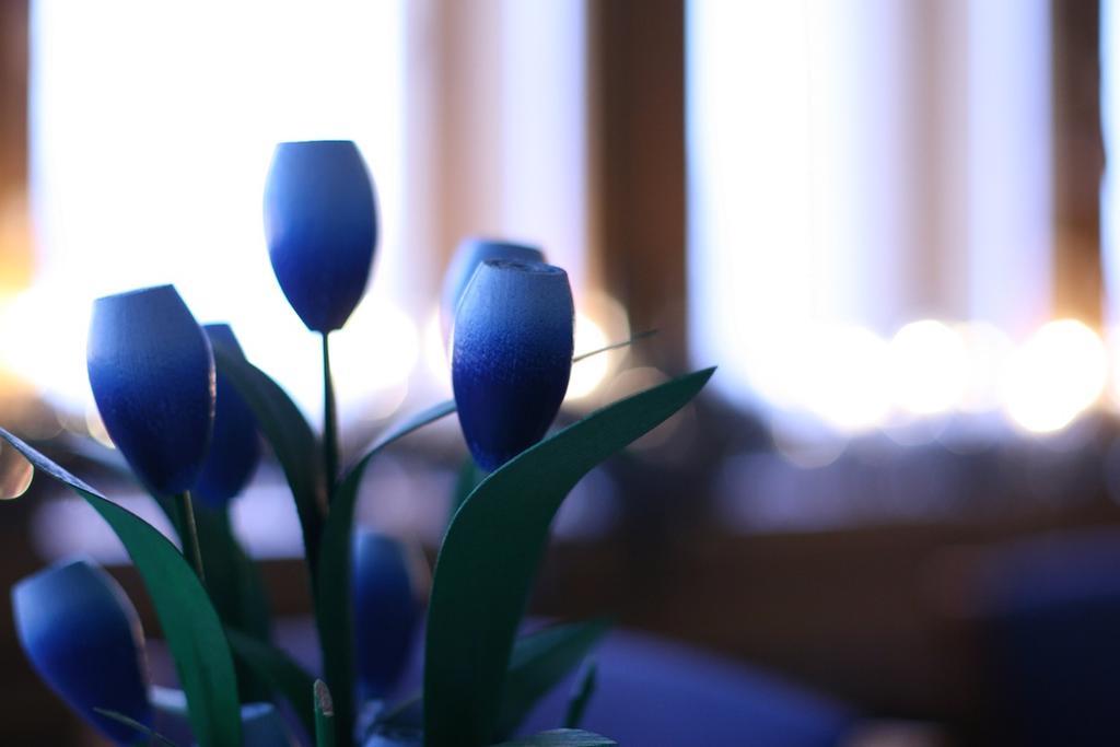 Hotel Hetan Majatalo Enontekiö Zewnętrze zdjęcie